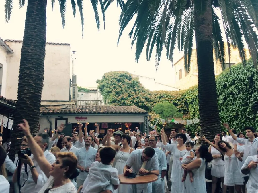 Un grupo celebrando una fiesta privada en el patio, con las palmeras al fondo