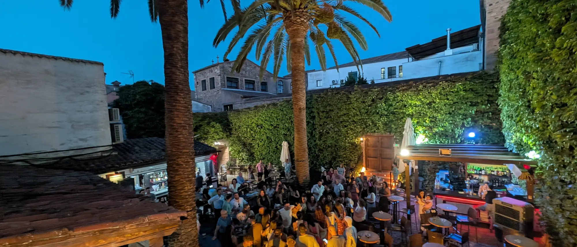 El patio lleno de gente en hora azul, con las palmeras recortadas contra el cielo