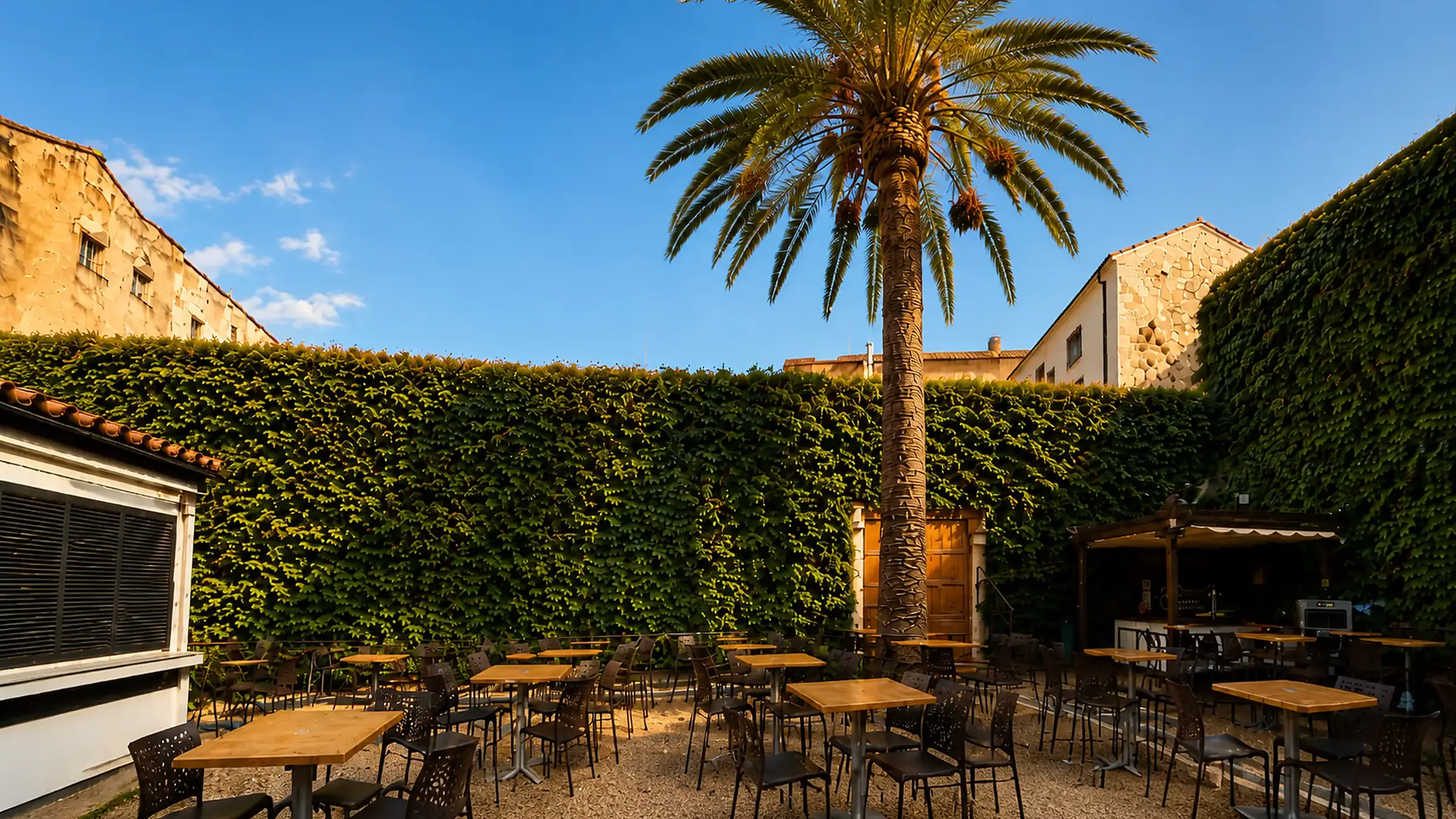 El patio del Corral a media tarde, con la palmera y el muro de hiedra sobre las mesas de madera