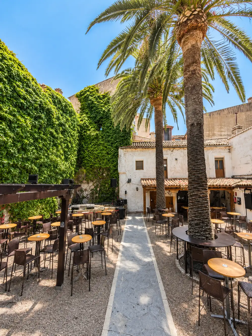 El patio vacío a primera hora de la tarde, con las mesas altas recogidas, la grava al sol y las dos palmeras contra el cielo azul