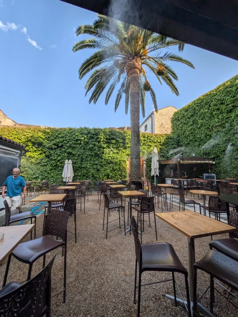 Mesas y sillas del patio bajo la palmera, con el cielo despejado