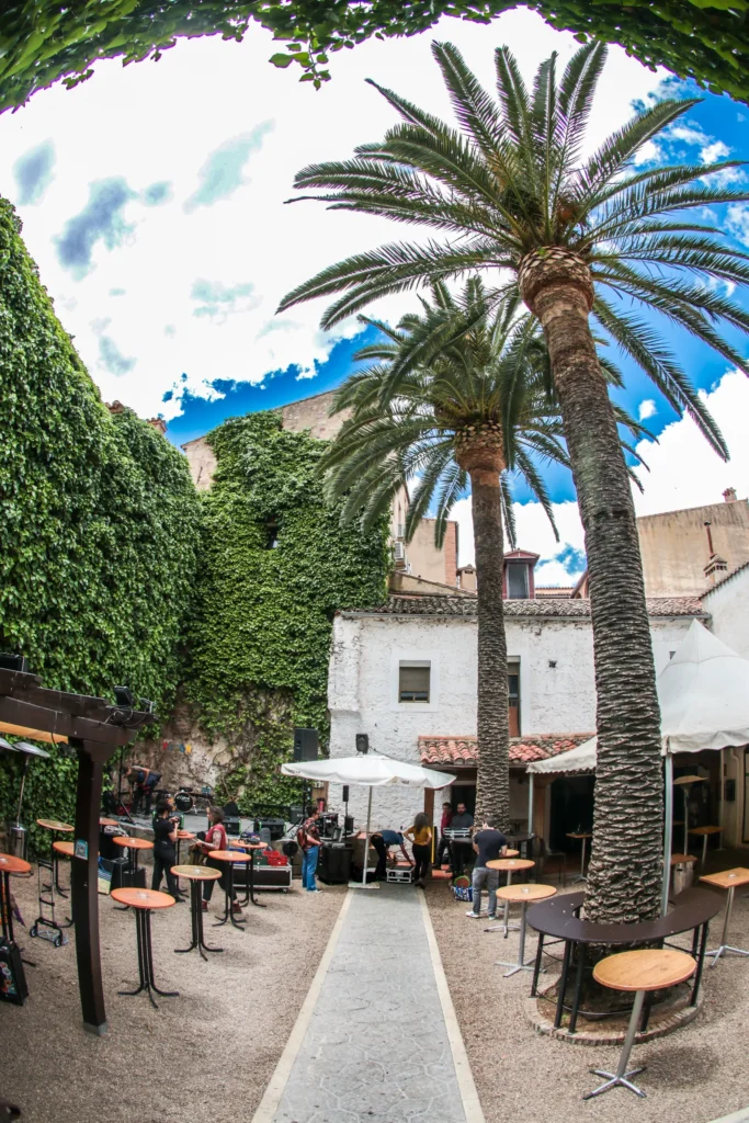 El patio a mediodía, con la palmera recortada sobre el muro encalado